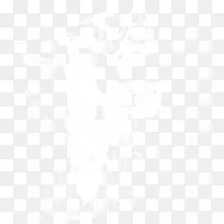 电子邮件联合国大学计算与社会商业计算机软件信息-光景效应-空若网 电子邮件联合国大学计算与社会商业计算机软件信息-光景效应-空若网