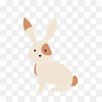 白兔-空若网 白兔-空若网