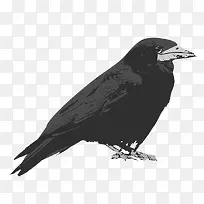 ˮ����ѻ-������