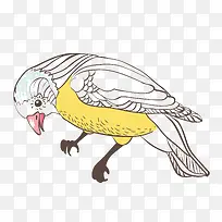 手绘鸟-空若网 手绘鸟-空若网