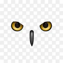 ʸ��èͷӥ�۾�-������