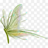 绿色卡通昆虫翅膀-空若网 绿色卡通昆虫翅膀-空若网