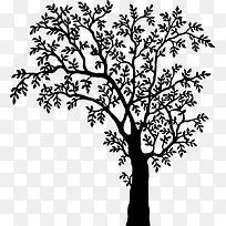 黑白风吹摇摆树-空若网 黑白风吹摇摆树-空若网