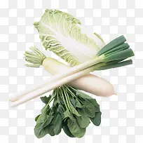 蔬菜手绘蔬菜 精美蔬果-空若网 蔬菜手绘蔬菜 精美蔬果-空若网