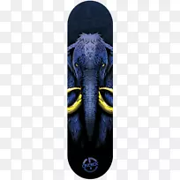 平面设计师大象滑板-空若网 平面设计师大象滑板-空若网