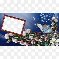 �ʻ��ʵ��߿�-������