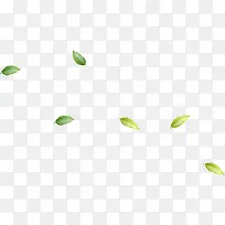 绿色树叶漂浮-空若网 绿色树叶漂浮-空若网