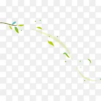 ��ҶƯ��-������