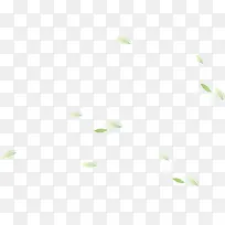 绿色树叶漂浮-空若网 绿色树叶漂浮-空若网