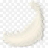 漂亮创意羽毛-空若网 漂亮创意羽毛-空若网