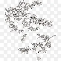 Ҷ��-������