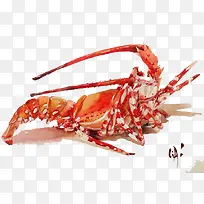 水彩小龙虾-空若网 水彩小龙虾-空若网