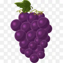 新鲜葡萄矢量素材图-空若网 新鲜葡萄矢量素材图-空若网
