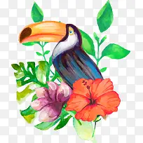 水彩大嘴鸟花丛-空若网 水彩大嘴鸟花丛-空若网