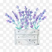 Ψ��޹�²�-������