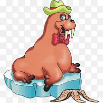 可爱海狮-空若网 可爱海狮-空若网