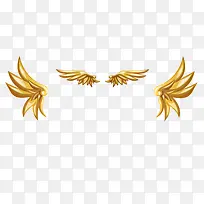 翅膀花边-空若网 翅膀花边-空若网