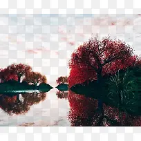 ºÓË®ºìÉ«Ê÷±³¾°-¿ÕÈôÍø ºÓË®ºìÉ«Ê÷±³¾°-¿ÕÈôÍø