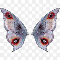 翅膀手绘孔雀尾部翅膀-空若网 翅膀手绘孔雀尾部翅膀-空若网