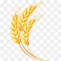 ��ͨ����-������