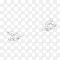 �ֻ洴��������ʹ�ĳ����ʦ-������