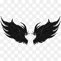 翅膀图片-空若网 翅膀图片-空若网