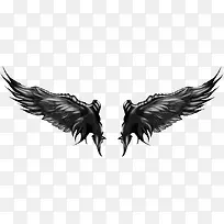 翅膀图片-空若网 翅膀图片-空若网