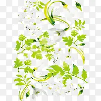 Ë®²ÊÏÊ»¨±³¾°-¿ÕÈôÍø Ë®²ÊÏÊ»¨±³¾°-¿ÕÈôÍø