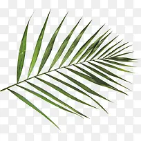 装饰图案花卉背景素材-空若网 装饰图案花卉背景素材-空若网