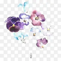 水彩花朵三色堇-空若网 水彩花朵三色堇-空若网