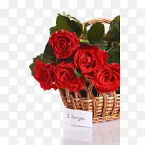 玫瑰花篮摄影图片-空若网 玫瑰花篮摄影图片-空若网