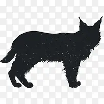 �����Ӱ-������