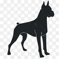 �����Ӱ-������