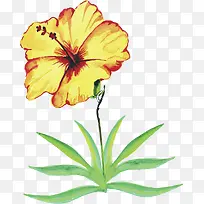 Ë®²Ê»¨»ÜËØ²Ä-¿ÕÈôÍø Ë®²Ê»¨»ÜËØ²Ä-¿ÕÈôÍø