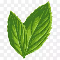 薄荷奥利奥剪贴画-薄荷PNG图像-空若网 薄荷奥利奥剪贴画-薄荷PNG图像-空若网