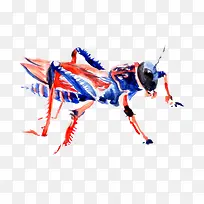 蓝色昆虫-空若网 蓝色昆虫-空若网