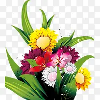 ���廨����Ҷ-������