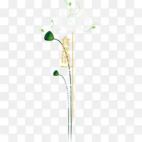 ʳ��-������