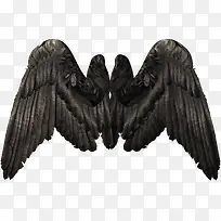 ��ħ���-������