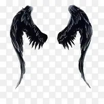 ��ɫ���-������