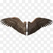 ��ɫ���-������