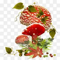 童话世界卡通手绘蘑菇-空若网 童话世界卡通手绘蘑菇-空若网