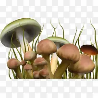 童话世界卡通手绘蘑菇-空若网 童话世界卡通手绘蘑菇-空若网