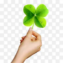 手拿四叶草-空若网 手拿四叶草-空若网