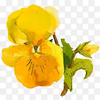 �ֻ��ɫ����-������