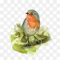 ��ͨ������-������