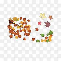 树叶漫天-空若网 树叶漫天-空若网