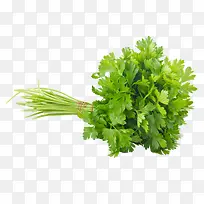 �߲��۲�-������