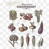 古典蔬菜矢量素材-空若网 古典蔬菜矢量素材-空若网