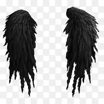 ��ɫ���-������